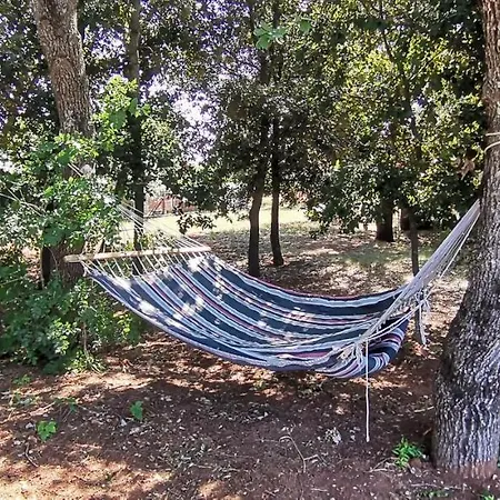 Lejlighed House Agroturist